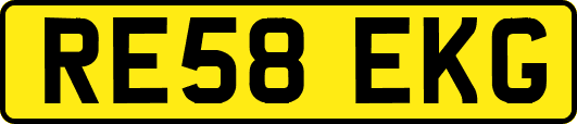 RE58EKG