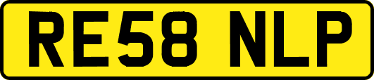 RE58NLP