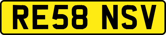 RE58NSV