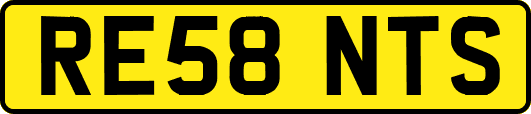 RE58NTS