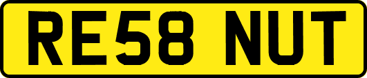 RE58NUT