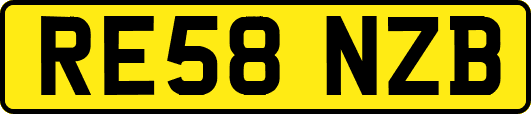 RE58NZB