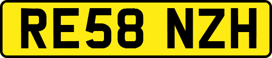 RE58NZH