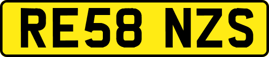 RE58NZS