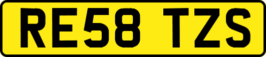 RE58TZS