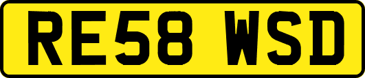 RE58WSD