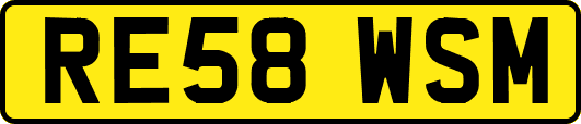 RE58WSM