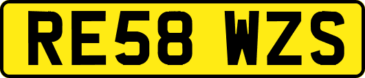 RE58WZS