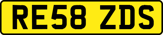 RE58ZDS