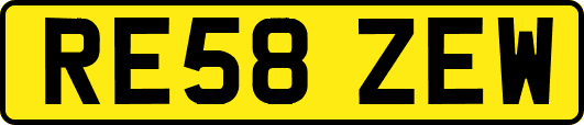 RE58ZEW