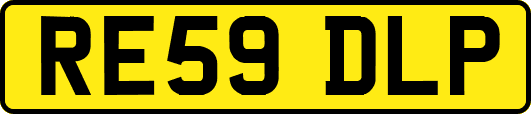 RE59DLP