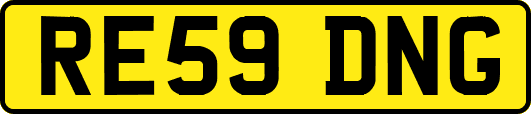 RE59DNG