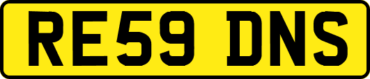 RE59DNS