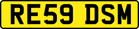 RE59DSM