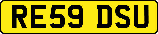 RE59DSU