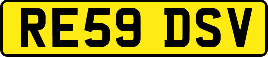 RE59DSV