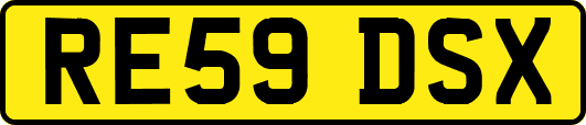 RE59DSX
