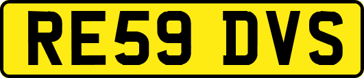RE59DVS