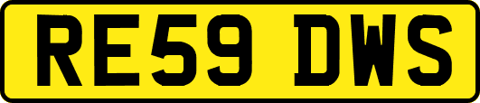 RE59DWS