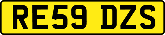 RE59DZS