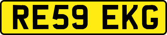 RE59EKG
