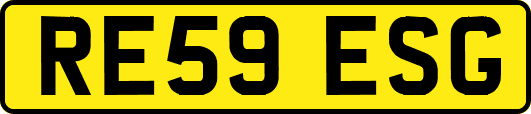 RE59ESG