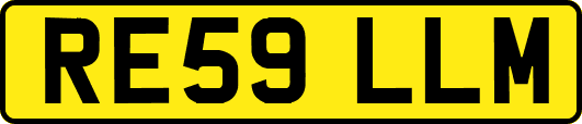 RE59LLM