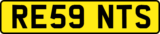 RE59NTS