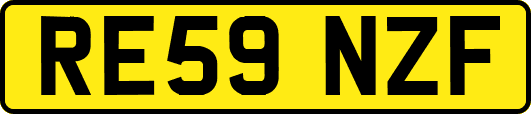 RE59NZF