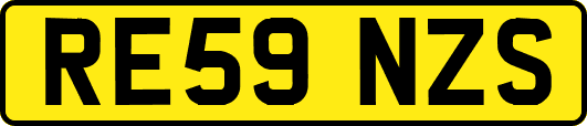 RE59NZS