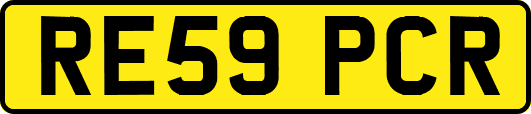 RE59PCR