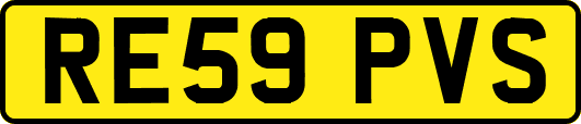 RE59PVS