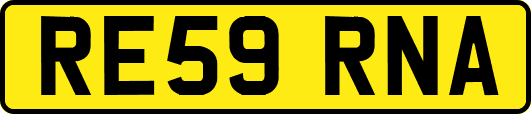 RE59RNA