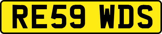 RE59WDS