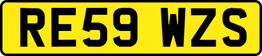 RE59WZS