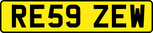 RE59ZEW
