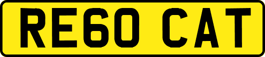 RE60CAT