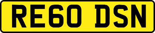 RE60DSN