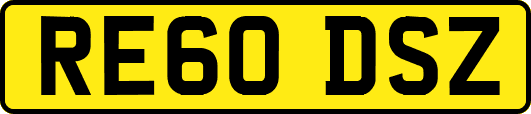 RE60DSZ