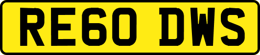 RE60DWS