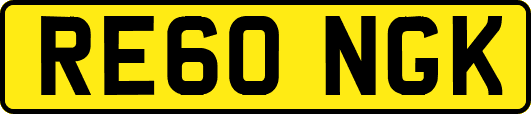 RE60NGK