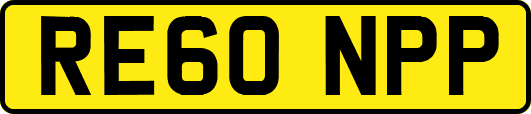 RE60NPP