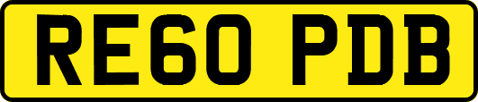 RE60PDB
