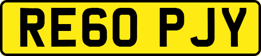 RE60PJY