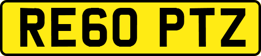 RE60PTZ
