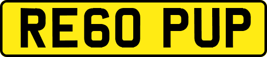 RE60PUP