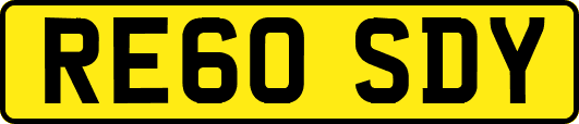 RE60SDY