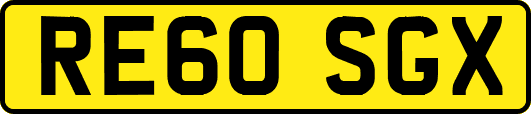 RE60SGX