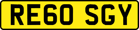 RE60SGY