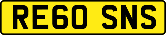 RE60SNS